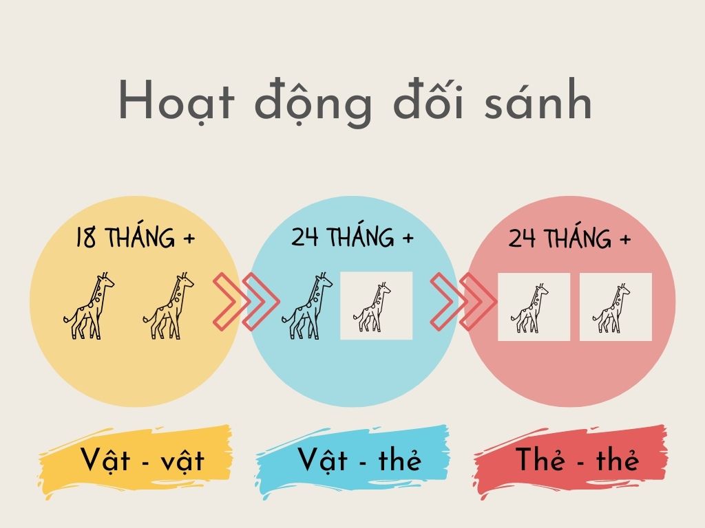 hoạt động đối sánh